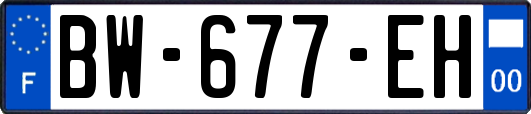 BW-677-EH