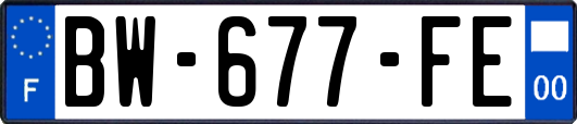 BW-677-FE