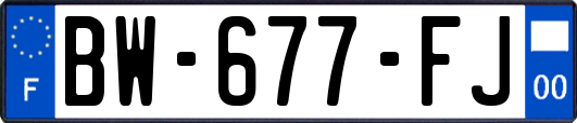 BW-677-FJ