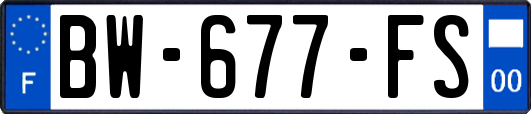 BW-677-FS