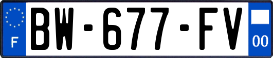 BW-677-FV