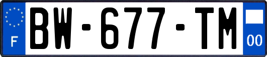 BW-677-TM