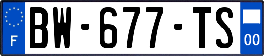 BW-677-TS