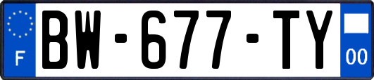 BW-677-TY