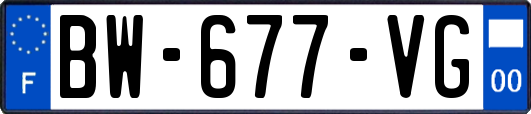 BW-677-VG