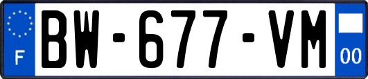 BW-677-VM