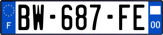 BW-687-FE