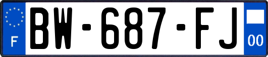 BW-687-FJ