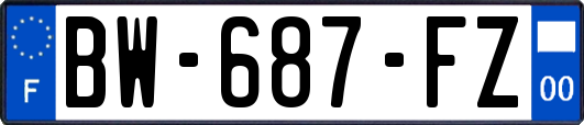 BW-687-FZ