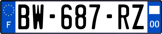 BW-687-RZ