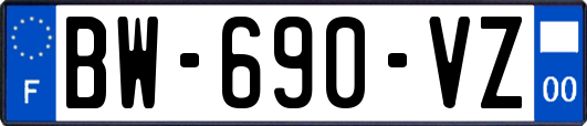 BW-690-VZ