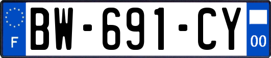 BW-691-CY