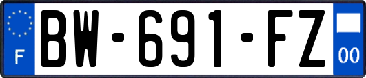 BW-691-FZ