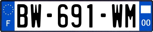 BW-691-WM