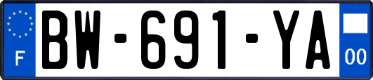 BW-691-YA