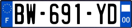 BW-691-YD