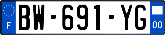 BW-691-YG