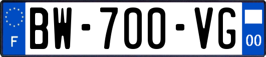 BW-700-VG