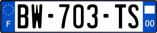 BW-703-TS