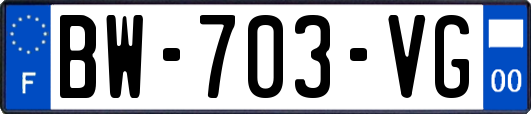 BW-703-VG