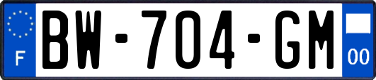 BW-704-GM