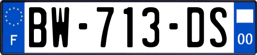 BW-713-DS