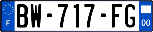 BW-717-FG