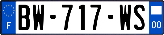 BW-717-WS