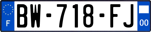 BW-718-FJ