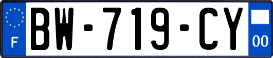 BW-719-CY