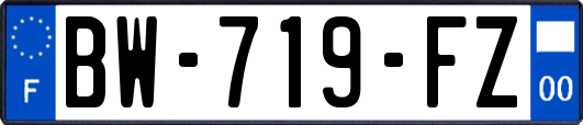 BW-719-FZ