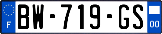 BW-719-GS