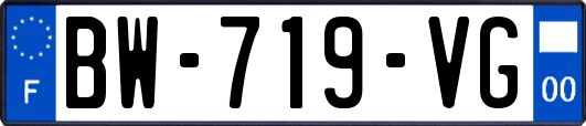 BW-719-VG