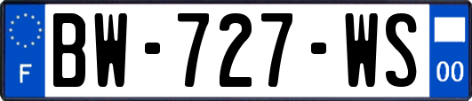 BW-727-WS