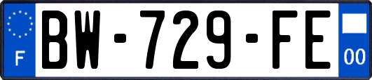 BW-729-FE