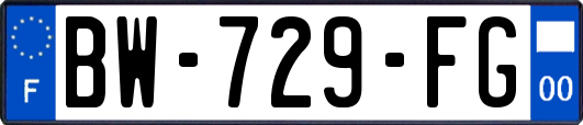 BW-729-FG