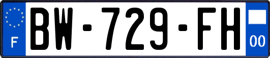 BW-729-FH