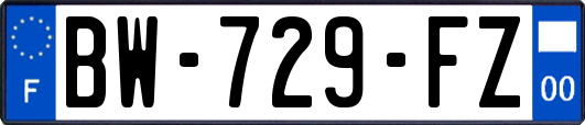 BW-729-FZ