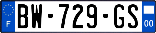 BW-729-GS