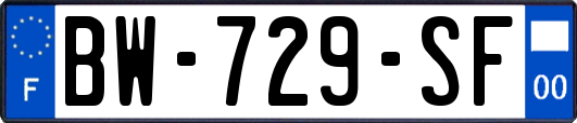 BW-729-SF