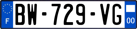 BW-729-VG