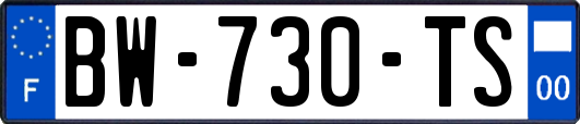 BW-730-TS