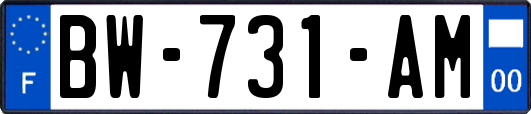 BW-731-AM