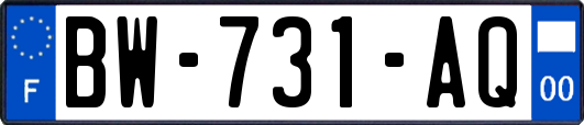 BW-731-AQ