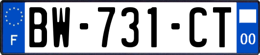 BW-731-CT