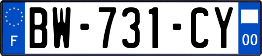 BW-731-CY