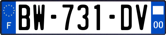 BW-731-DV