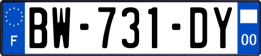 BW-731-DY