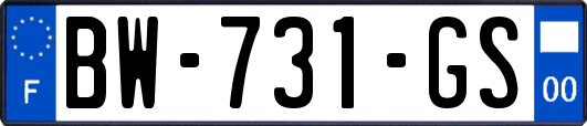 BW-731-GS