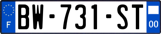 BW-731-ST